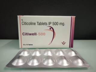 CITIWELL-500