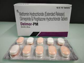 DELMOR-PM