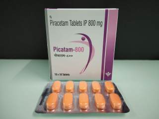 PICATAM-800