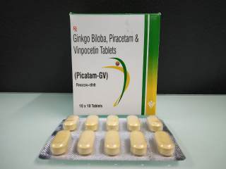 PICATAM-GV 